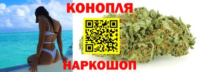 сатива Гусиноозёрск