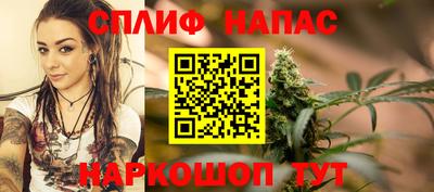 сатива Гусиноозёрск