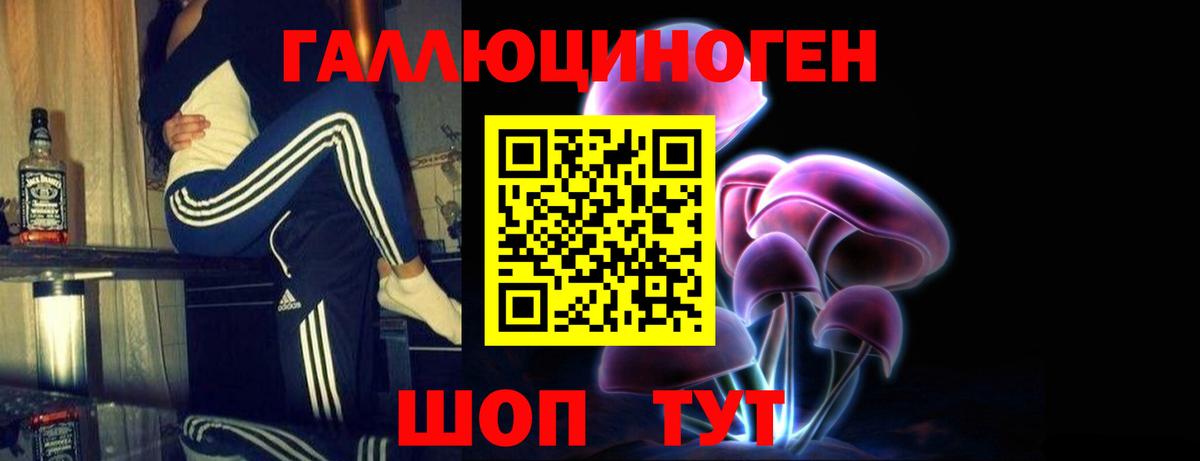 Псилоцибиновые грибы Cubensis  Псилоцибиновые грибы Psilocybine cubensis  Новоалександровск  Вход с VPN 